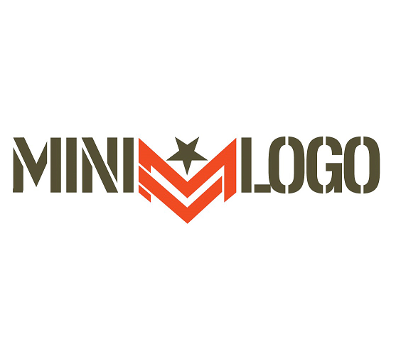 Mini Logo Skateboards