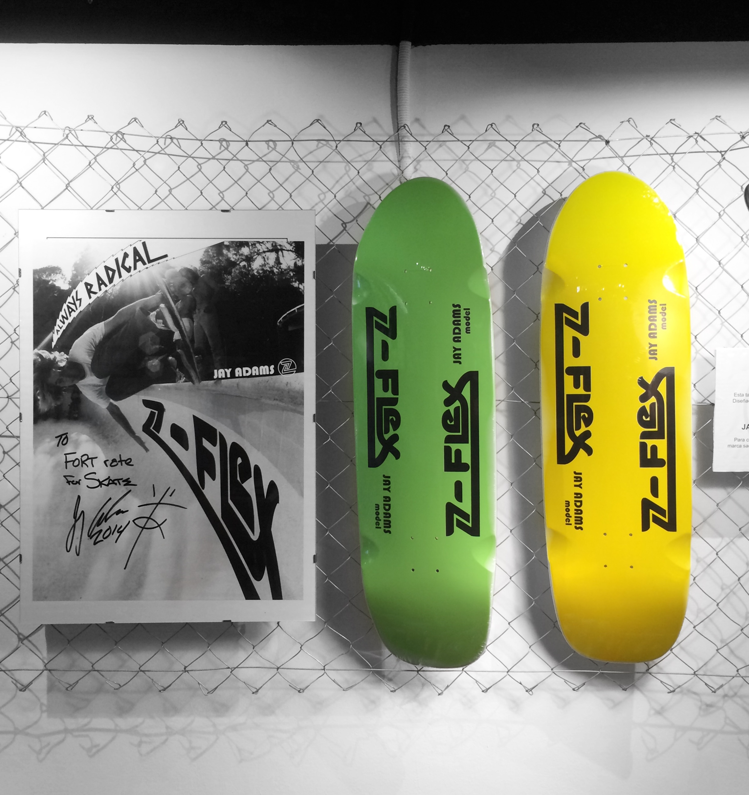 zflex-expo-classics-skateboarding-state-statebcn5