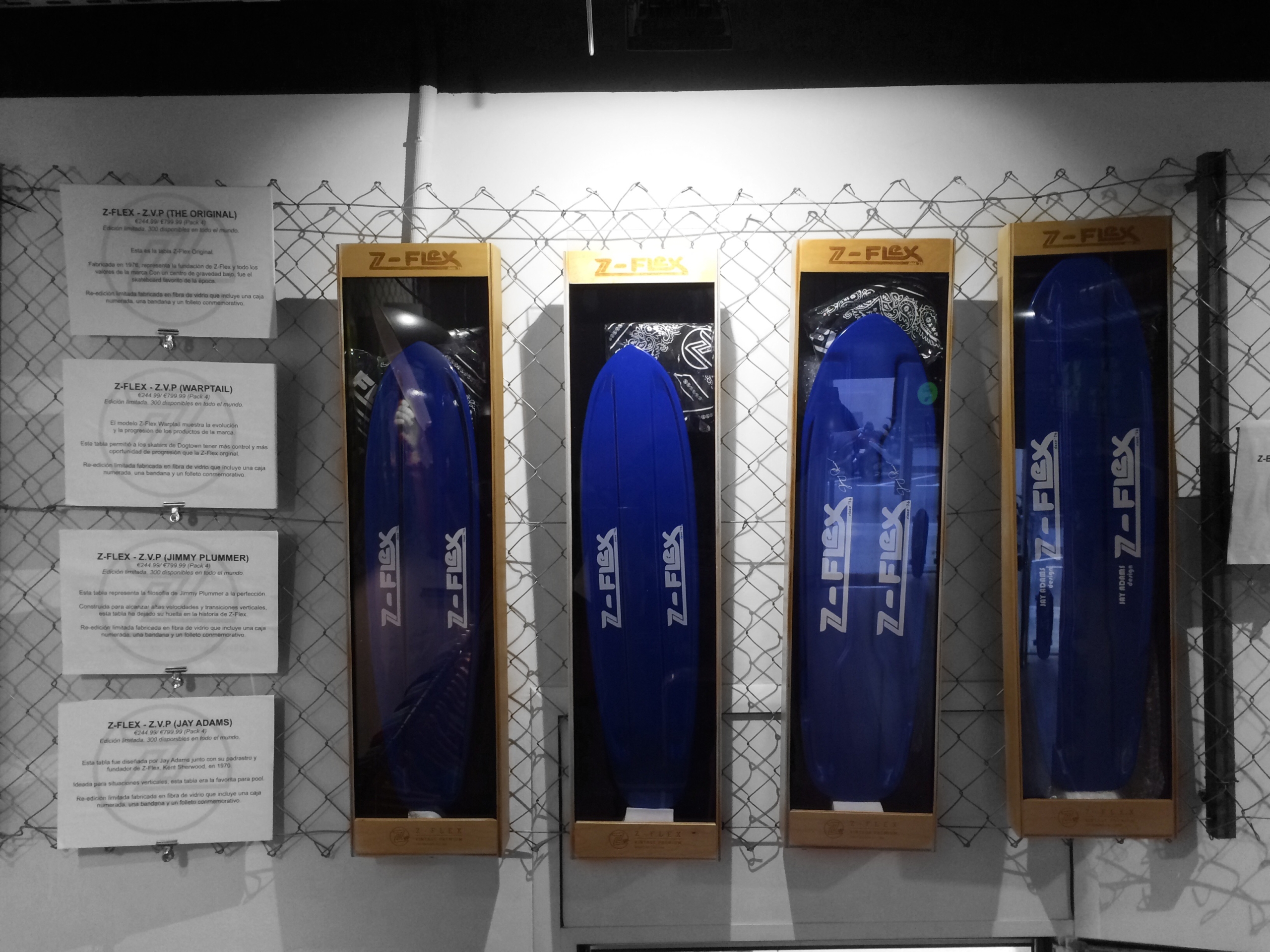 zflex-expo-classics-skateboarding-state-statebcn7